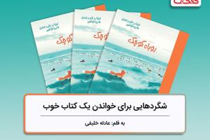 شگردهایی برای خواندن یک کتاب خوب، بررسی کتاب «روباه کوچک»