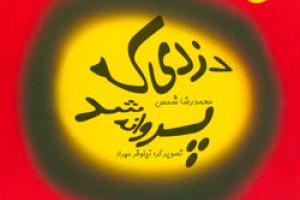 کتاب کودک و نوجوان: دزدی که پروانه شد