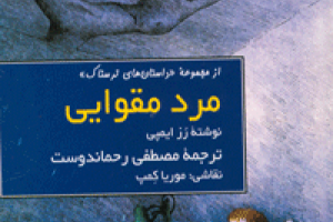 مرد مقوایی